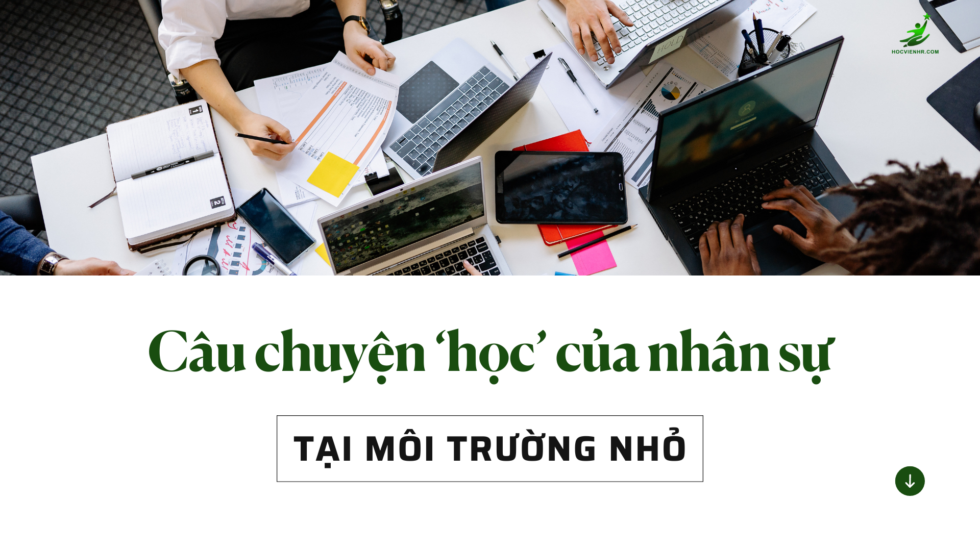 nhân sự