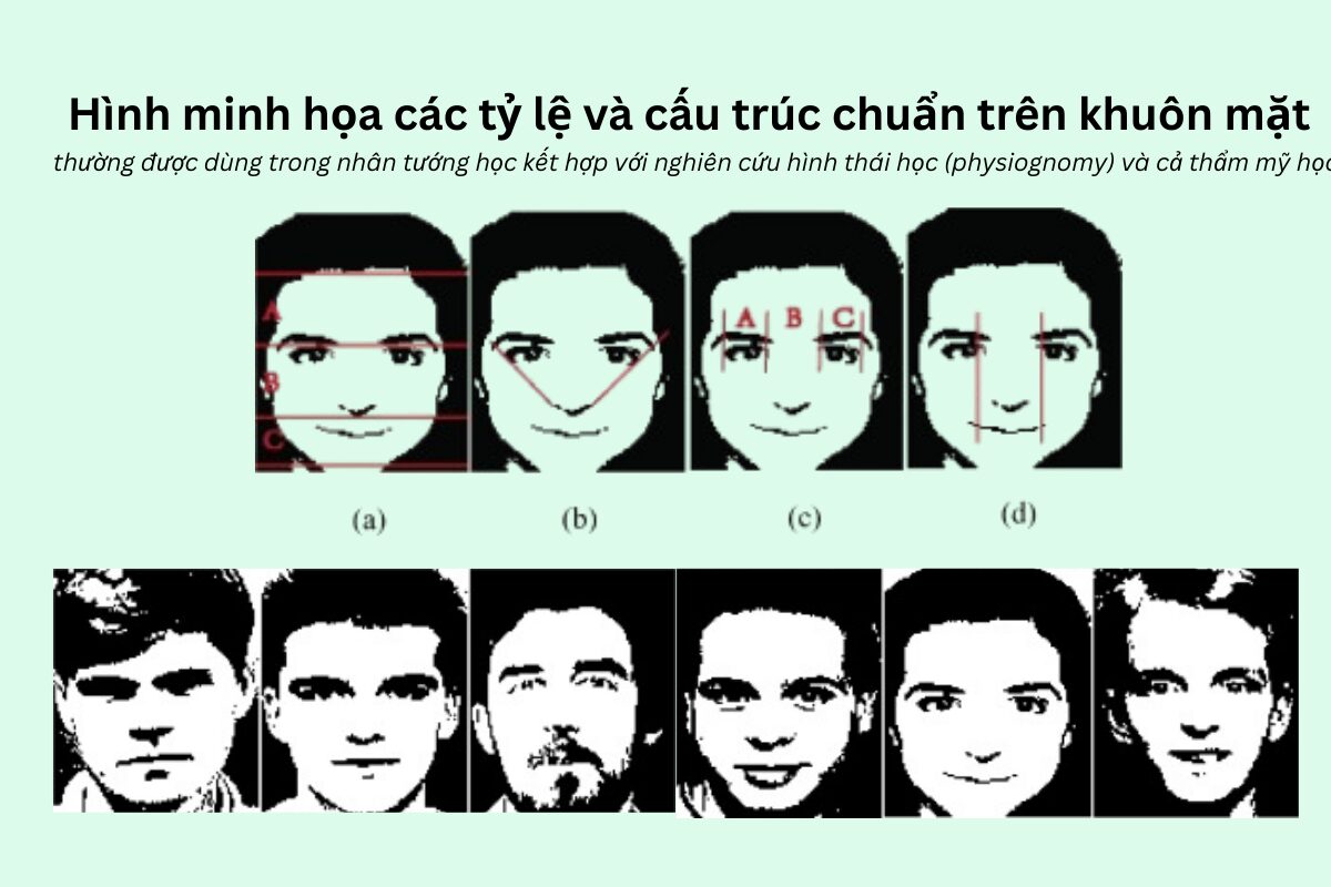 Ứng dụng Nhân Tướng Học qua các nguyên tắc tỷ lệ gương mặt (Tam đình – Tam quan – Độ cân xứng)