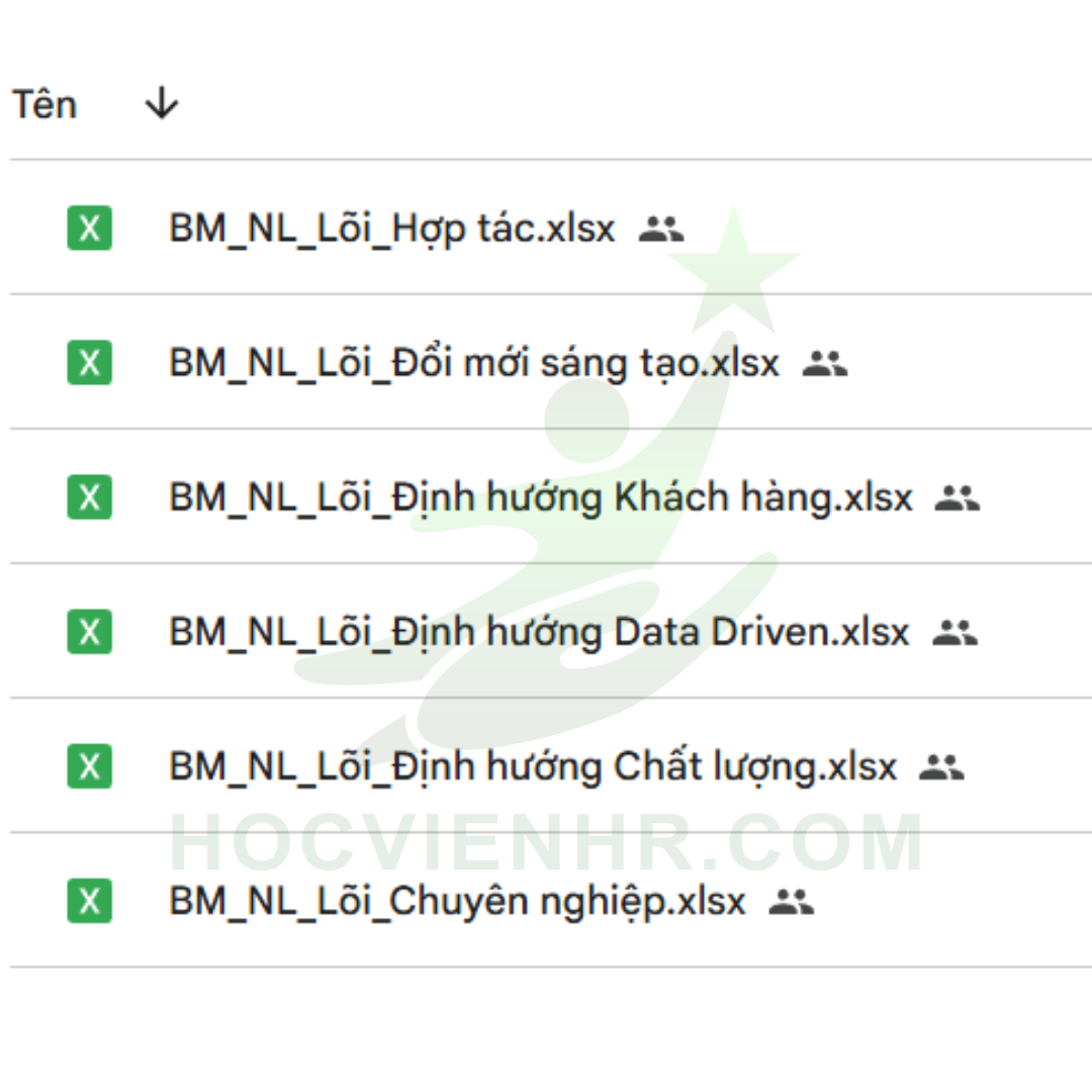 Bộ tài liệu Xây dựng khung năng lực