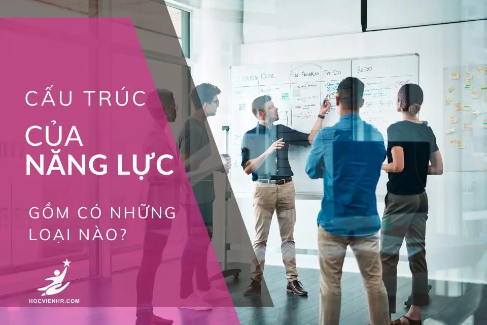 Gồm có những loại năng lực nào?