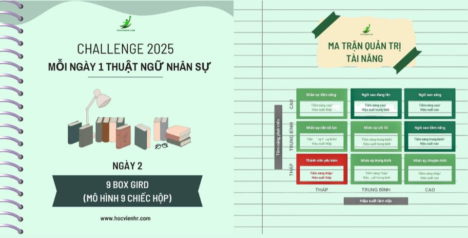 Mô hình 9 Box Grid: Ma trận quản lý, phát triển nhân tài