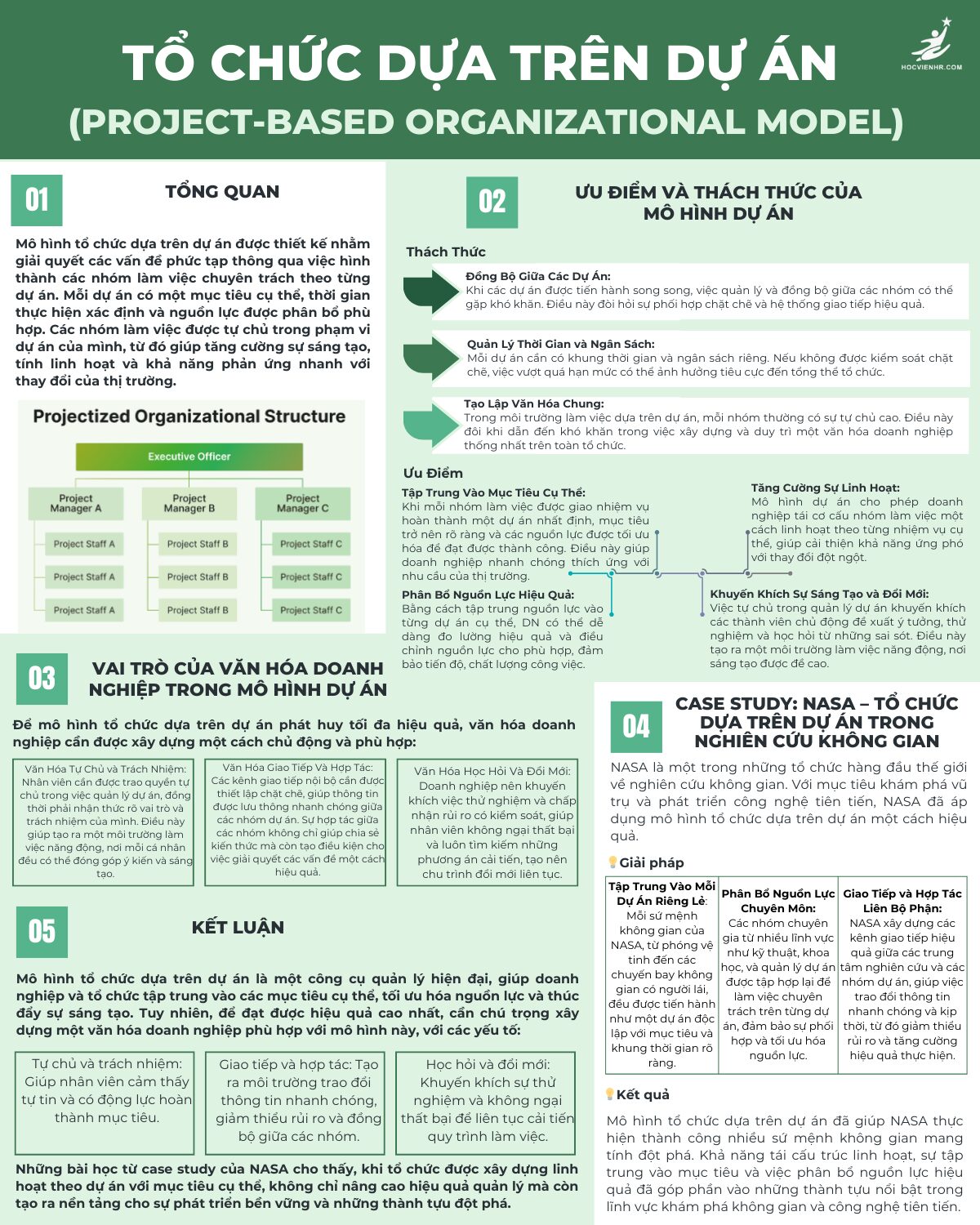 Tổ Chức Dựa Trên Dự Án (Project-Based Organizational Model): "Bệ Phóng" Linh Hoạt Hướng Tới Mục Tiêu Rõ Ràng Trong Kỷ Nguyên Biến Động