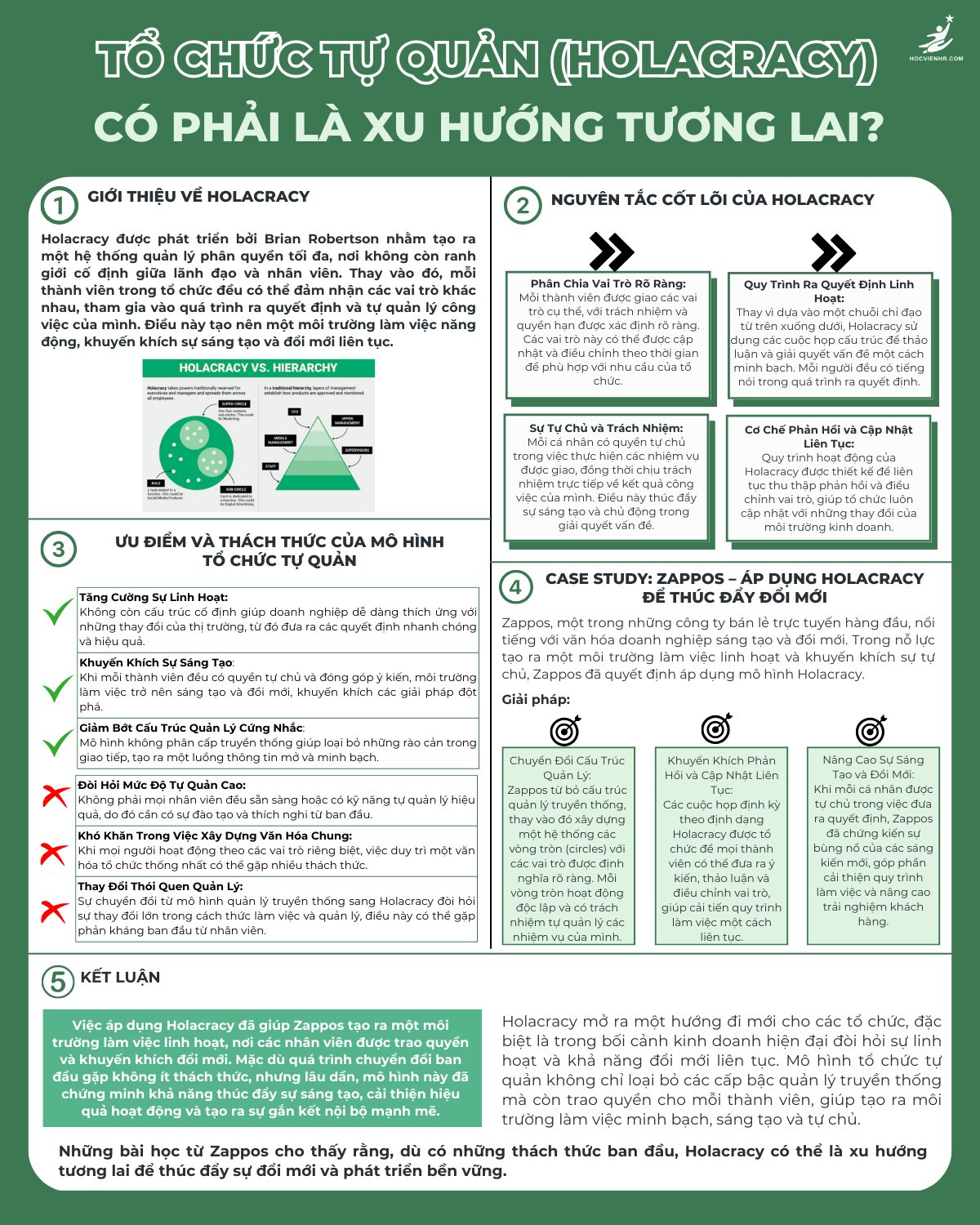 Tổ Chức Tự Quản (Holacracy): "Cuộc Cách Mạng" Trao Quyền – Liệu Có Phải Là Xu Hướng Tổ Chức Của Tương Lai?