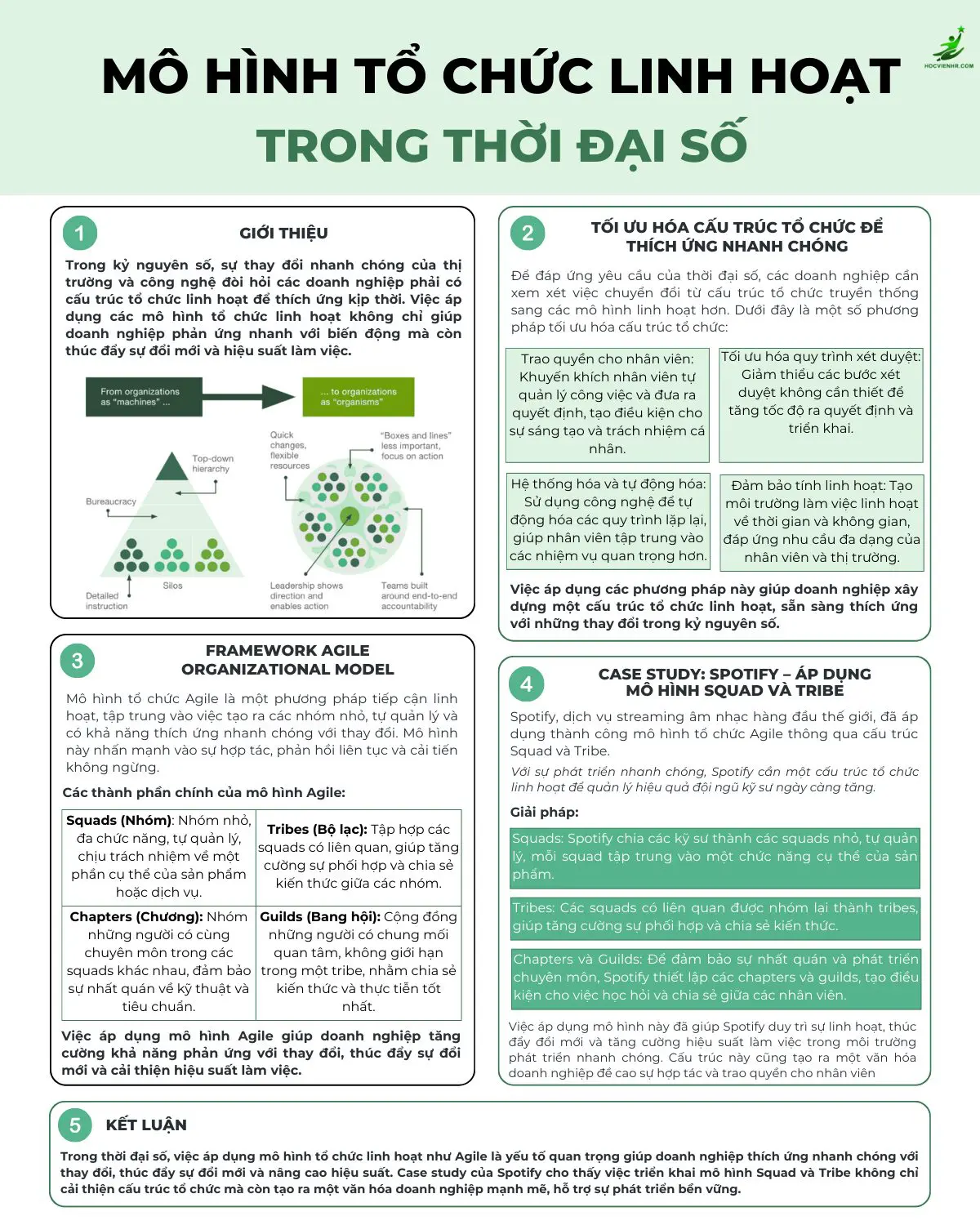 Mô Hình Tổ Chức Linh Hoạt: "Chìa Khóa Vàng" Trao Quyền Nhân Viên, Bứt Phá Trong Kỷ Nguyên Số