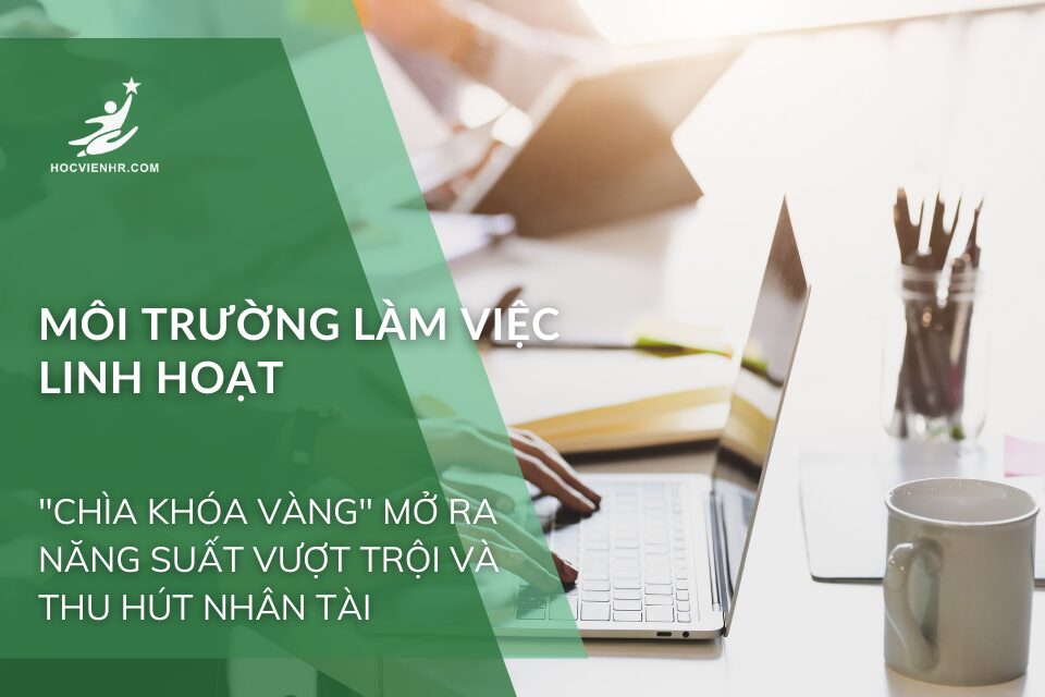 Môi Trường Làm Việc Linh Hoạt: "Chìa Khóa Vàng" Mở Ra Năng Suất Vượt Trội và Thu Hút Nhân Tài Trong Kỷ Nguyên Số