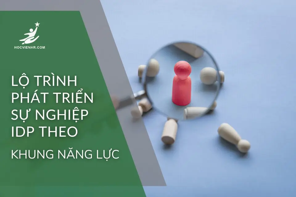 Lộ Trình Phát Triển Sự Nghiệp IDP Dựa Trên Khung Năng Lực
