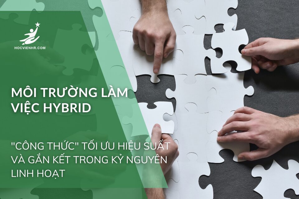 Môi Trường Làm Việc Hybrid: "Công Thức" Tối Ưu Hiệu Suất và Gắn Kết Trong Kỷ Nguyên Linh Hoạt