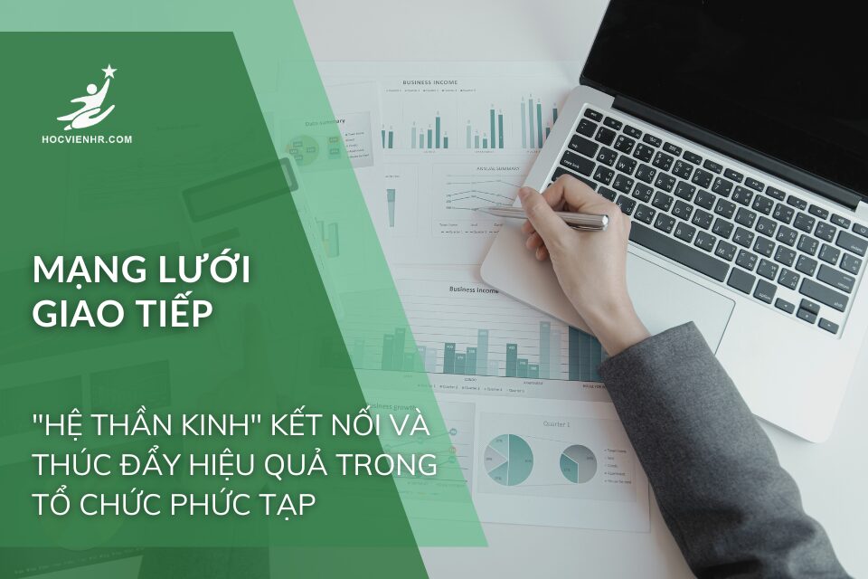 Mạng Lưới Giao Tiếp: "Hệ Thần Kinh" Kết Nối và Thúc Đẩy Hiệu Quả Trong Tổ Chức Phức Tạp