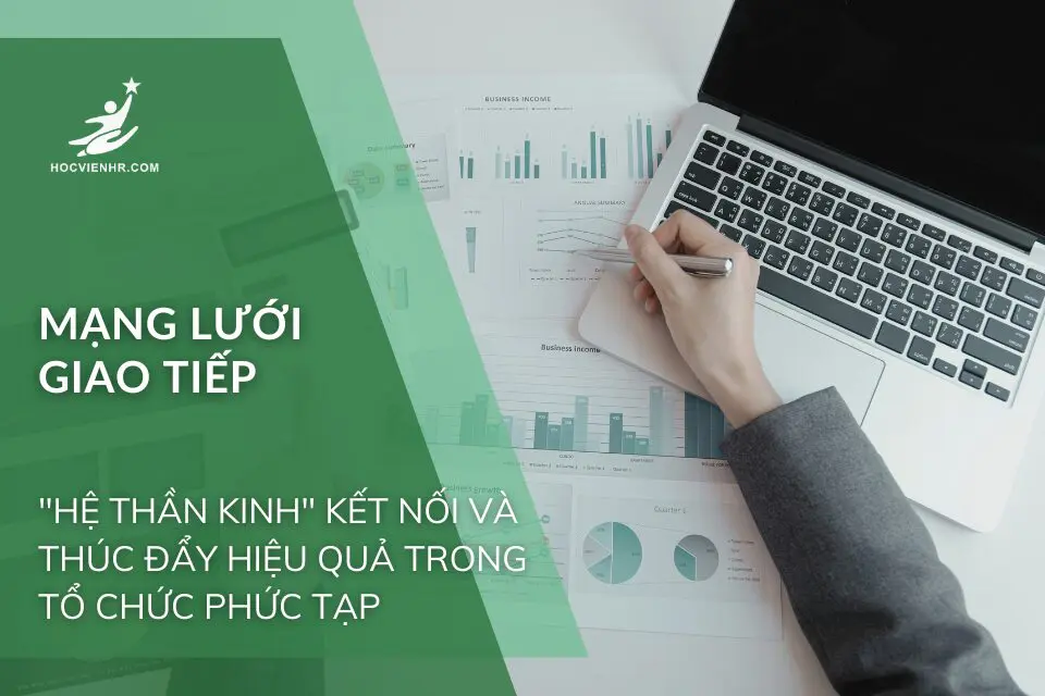 Mạng Lưới Giao Tiếp: "Hệ Thần Kinh" Kết Nối và Thúc Đẩy Hiệu Quả Trong Tổ Chức Phức Tạp