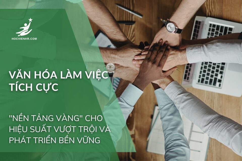 Văn Hóa Làm Việc Tích Cực: "Nền Tảng Vàng" Cho Hiệu Suất Vượt Trội và Phát Triển Bền Vững