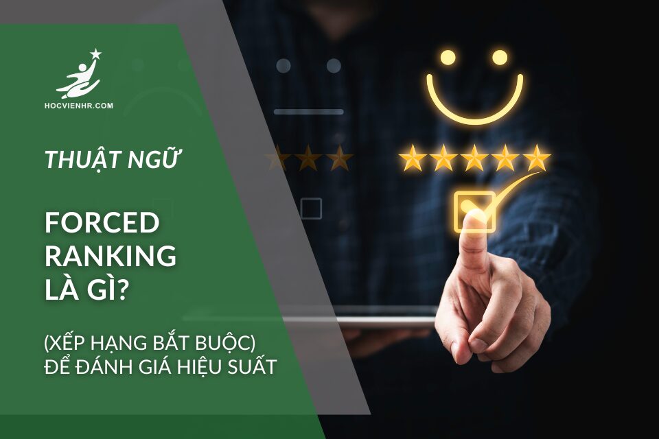 Thuật ngữ Forced ranking là gì (Xếp hạng bắt buộc) stack ranking là gì (Xếp hạng ngăn xếp) trong Talent Management (Quản trị Nhân tài)