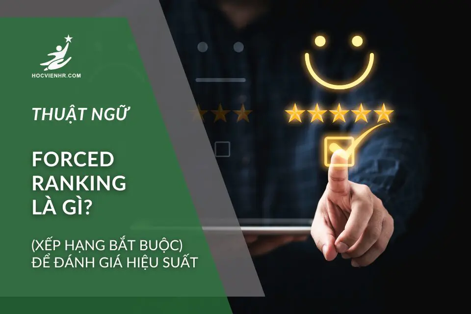Thuật ngữ Forced ranking là gì (Xếp hạng bắt buộc) stack ranking là gì (Xếp hạng ngăn xếp) trong Talent Management (Quản trị Nhân tài)