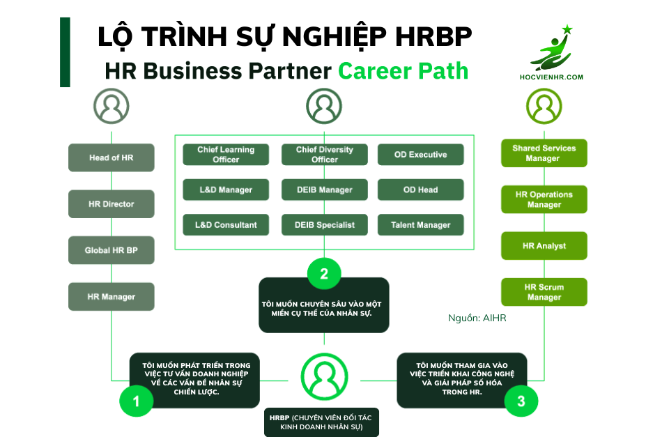 Làm thế nào để trở thành HRBP? Lộ trình phát triển nghề nghiệp HR Business Partner HRBP là gì? Mất bao lâu để trở thành HRBP
