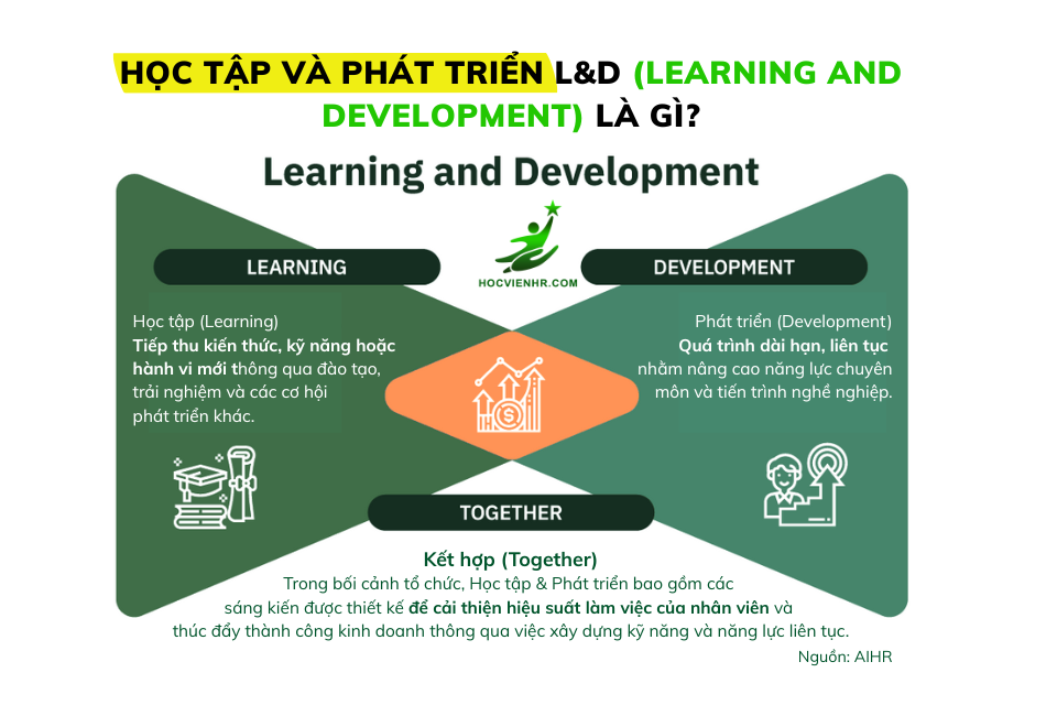 Learning & Development L&D là gì Học viện HR