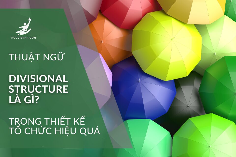Divisional Structure là gì? Học viện HR
