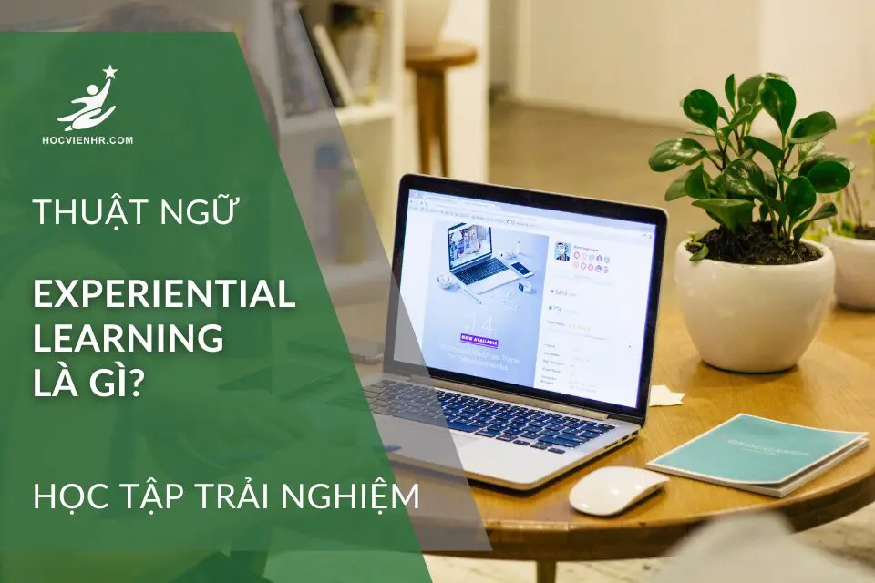 Emotional Compensation là gì? Học viện HR