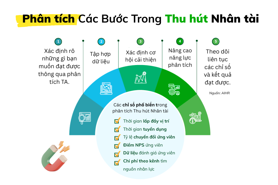 Các bước tuyển dụng mà Các vị trí và vai trò cho Chuyên viên tuyển dụng và thu hút nhân tài – Talent Acquisition Specialist Học viện HR cần biết 