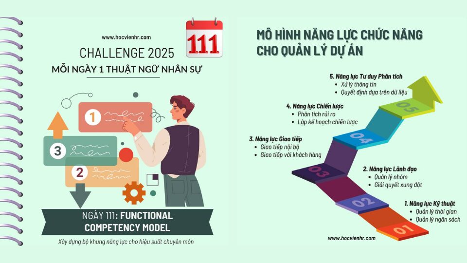 Thuật ngữ Functional Competency Model là gì – Mô hình Năng lực Chức năng, và chuyên môn