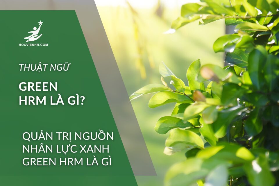 Quản trị Nguồn Nhân Lực Xanh Green HRM là gì