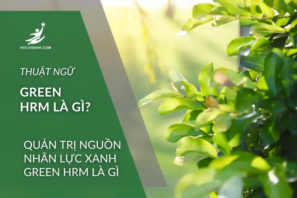 Quản trị Nguồn Nhân Lực Xanh Green HRM là gì