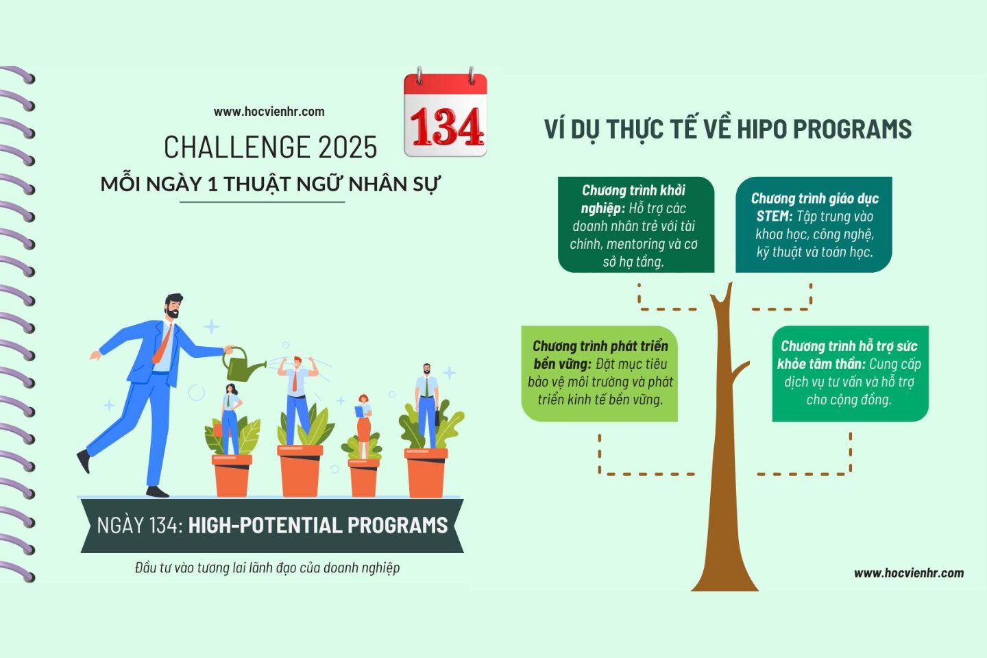 High-Potential (HiPo) Programs là gì? 8 cách nhận diện & phát triển nhân tài tiềm năng cao