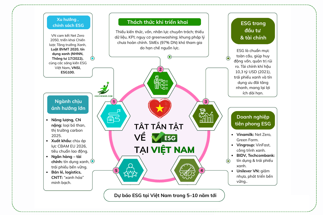 Báo cáo ESG tại Việt Nam: Hiện trạng và triển vọng 5–10 năm tới