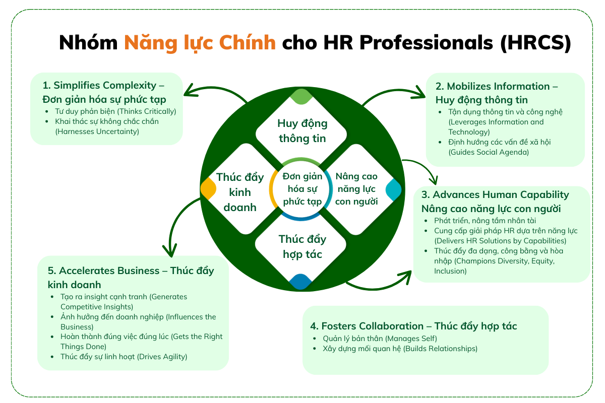 Dave Ulrich HRBP HR Competencies: từ danh từ sang động từ