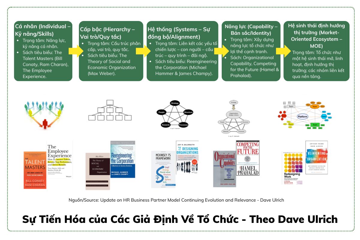 Dave Ulrich HRBP và tổ chức tiến hóa thành hệ sinh thái năng lực