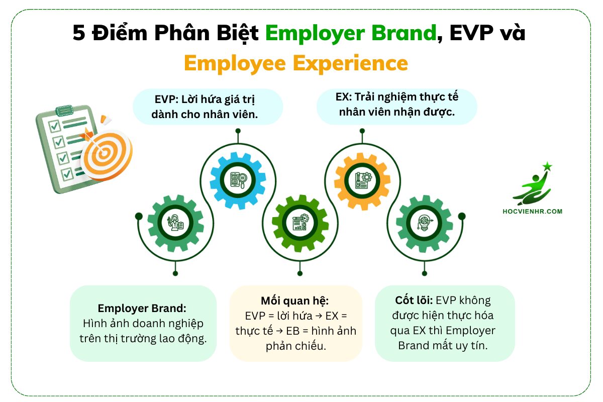 Phân biệt Employer Branding Thương hiệu nhà tuyển dụng EB, EVP và Employee Experience (EX)