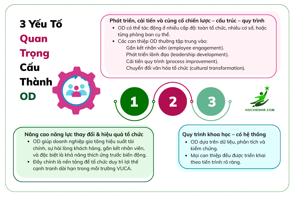 Phát triển tổ chức (OD Organizational Development) là gì ? Học viện HR