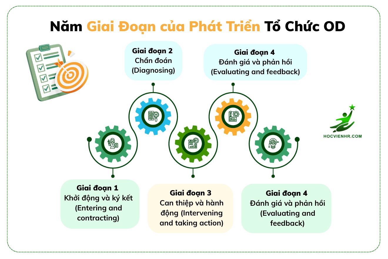 OD – Organizational Development Phát triển Tổ chức có mấy giai đoạn?