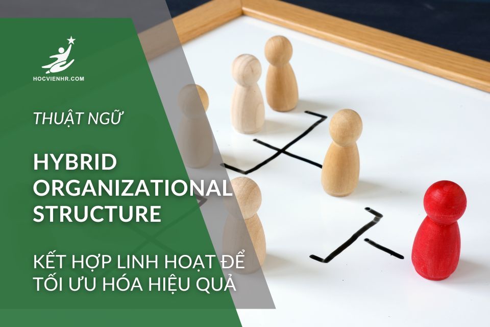 Hybrid Organizational Structure