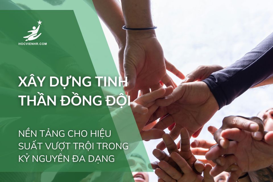 Xây Dựng Tinh Thần Đồng Đội