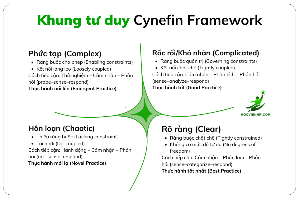 Khung Tư Duy Cynefin Framework là gì? Toàn cảnh từ A đến Z