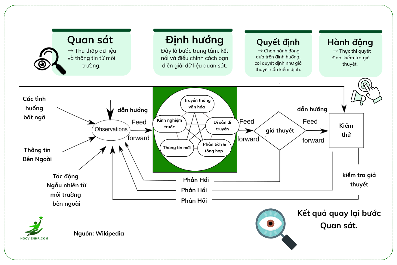 Vòng lặp OODA Loop là gì? Toàn tập về Mô hình Ra Quyết Định Nhanh và Linh Hoạt